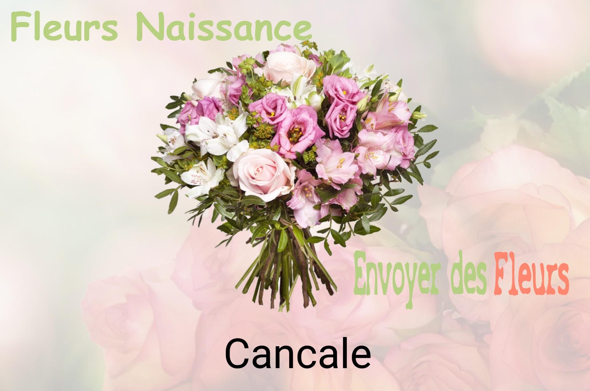 Bouquet de fleurs de naissance livré à Cancale